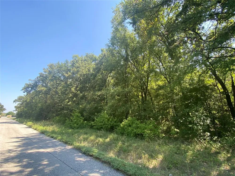 101 Heritage Springs Drive Brock, TX 76087