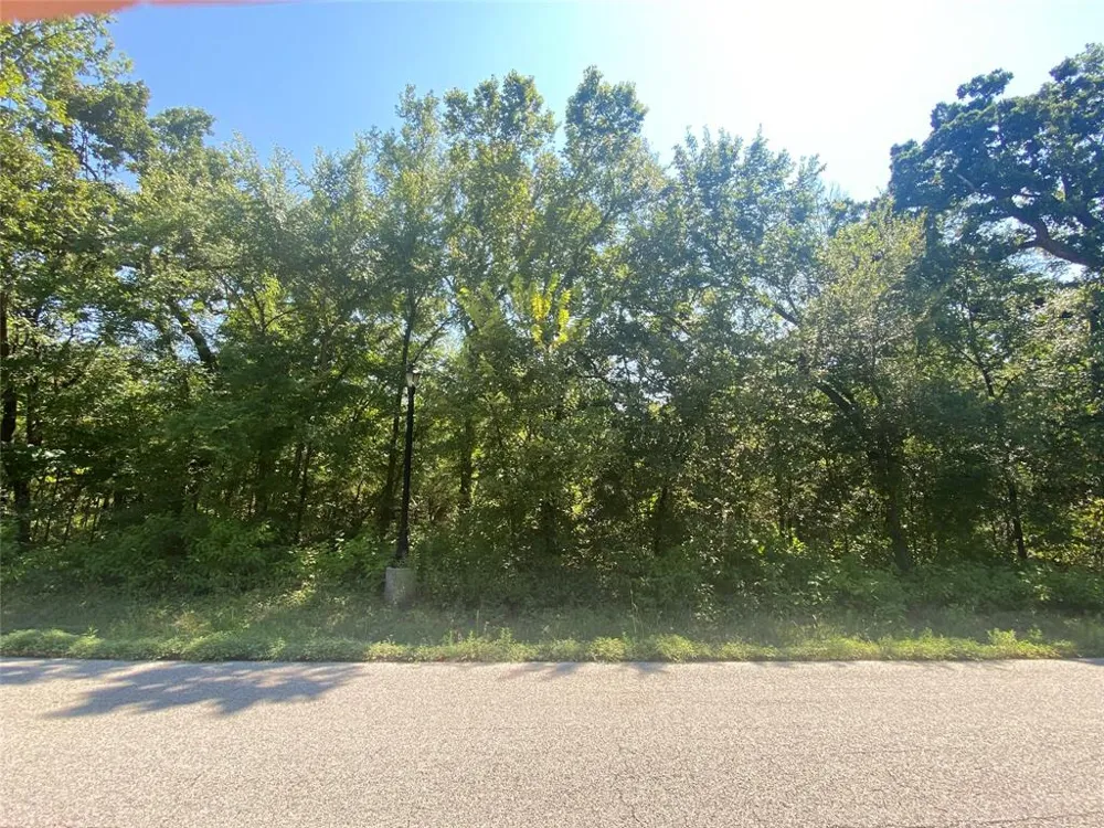 109 Heritage Springs Drive Brock, TX 76087