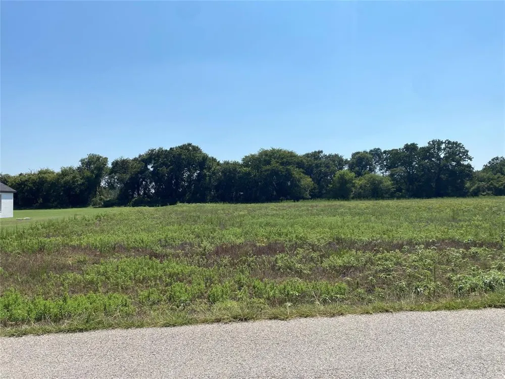 137 Heritage Springs Drive Brock, TX 76087