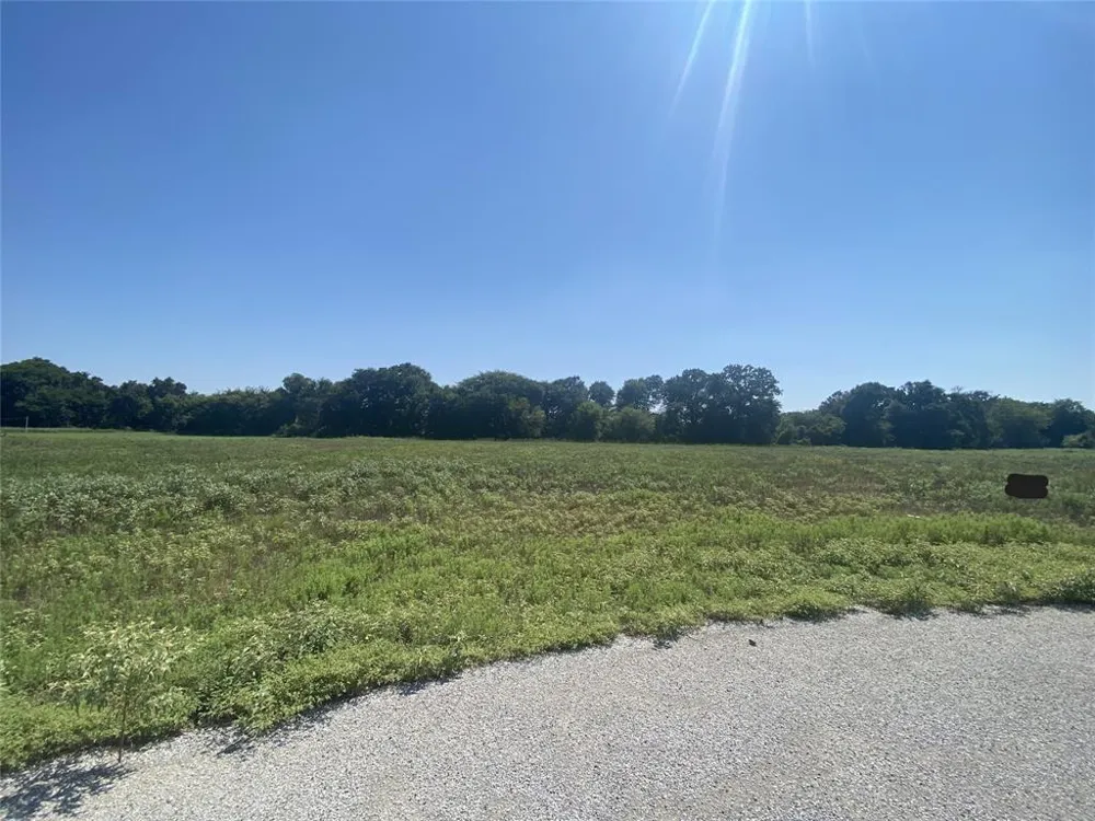 141 Heritage Springs Drive Brock, TX 76087