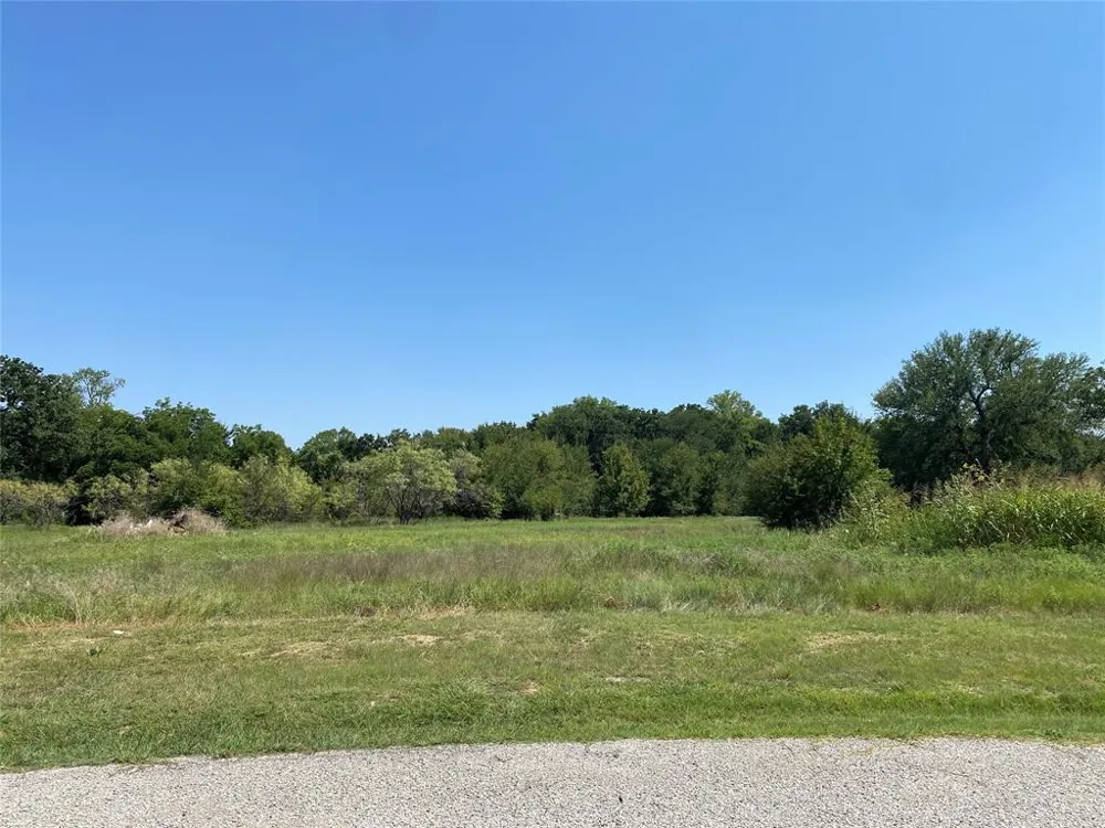 104 Beaver Creek Court Weatherford, TX 76087