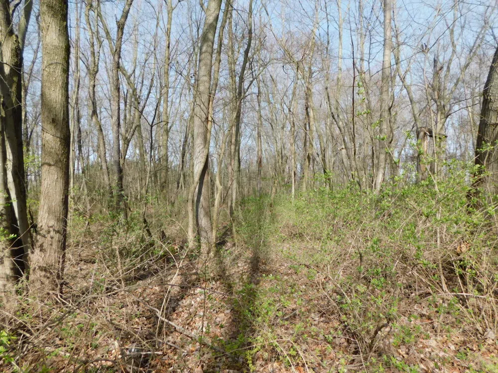 2583 Sodus Parkway Sodus, MI 49126