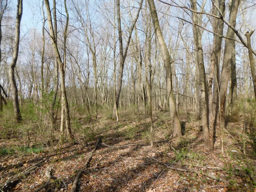 2583 Sodus Parkway Sodus, MI 49126