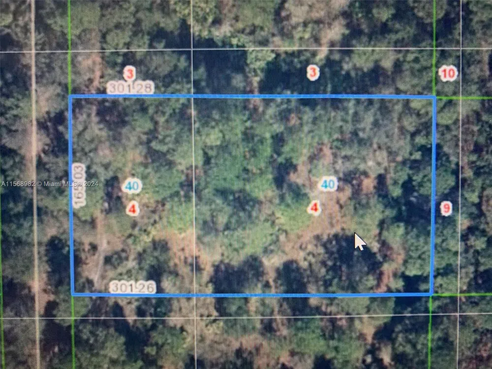 1939 S Griese Road Avon Park, FL 33825