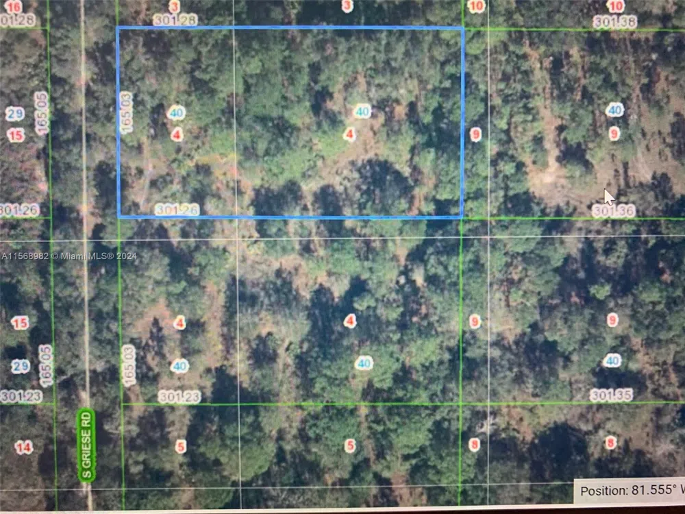 1939 S Griese Road Avon Park, FL 33825