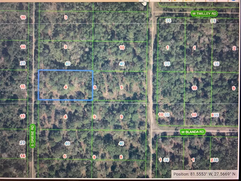 1939 S Griese Road Avon Park, FL 33825