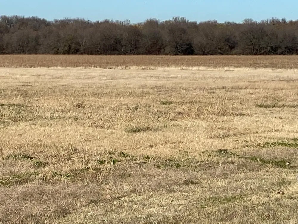 HWY 289 Gunter, TX 75058
