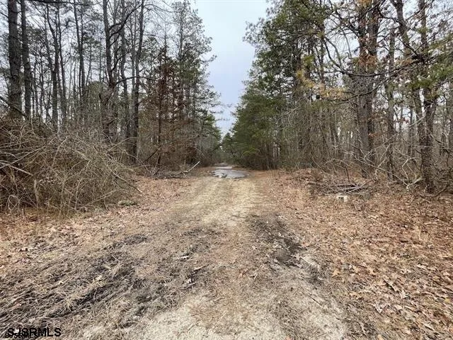 Perry Street Buena Vista Township, NJ 08310