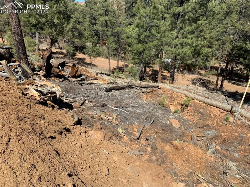 15421 Westcreek Road Woodland Park, CO 80863