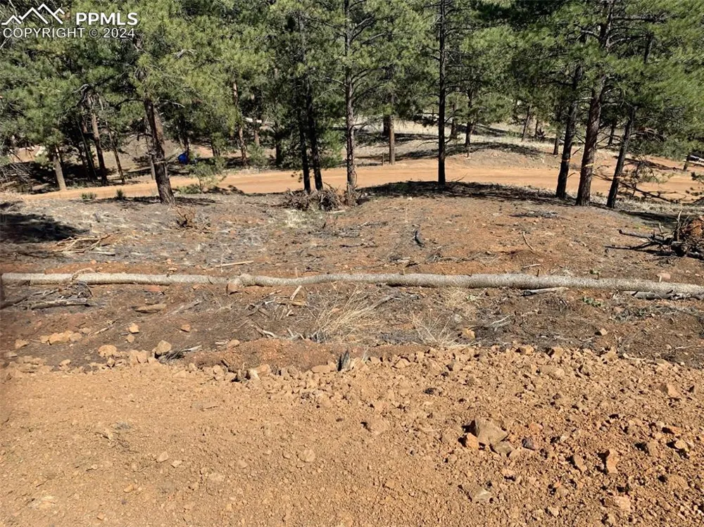 15421 Westcreek Road Woodland Park, CO 80863
