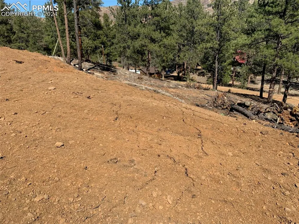 15421 Westcreek Road Woodland Park, CO 80863