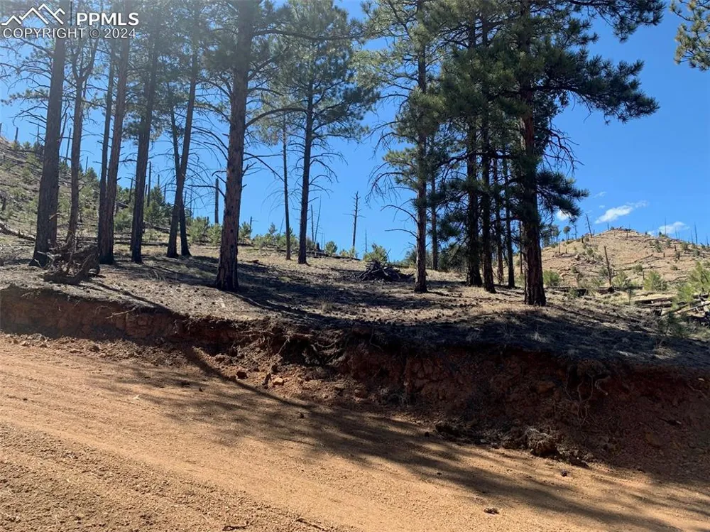15421 Westcreek Road Woodland Park, CO 80863