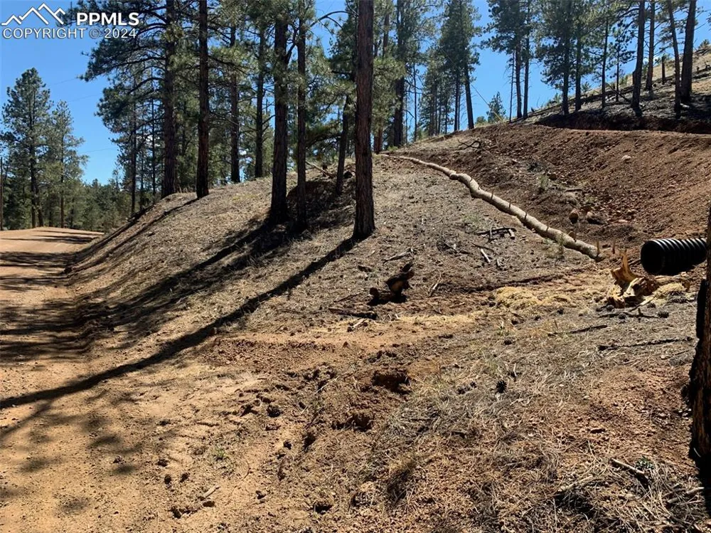 15421 Westcreek Road Woodland Park, CO 80863