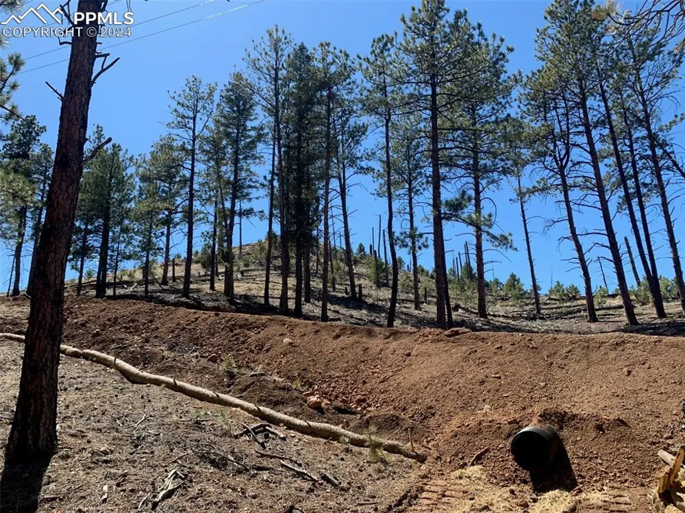 15421 Westcreek Road Woodland Park, CO 80863