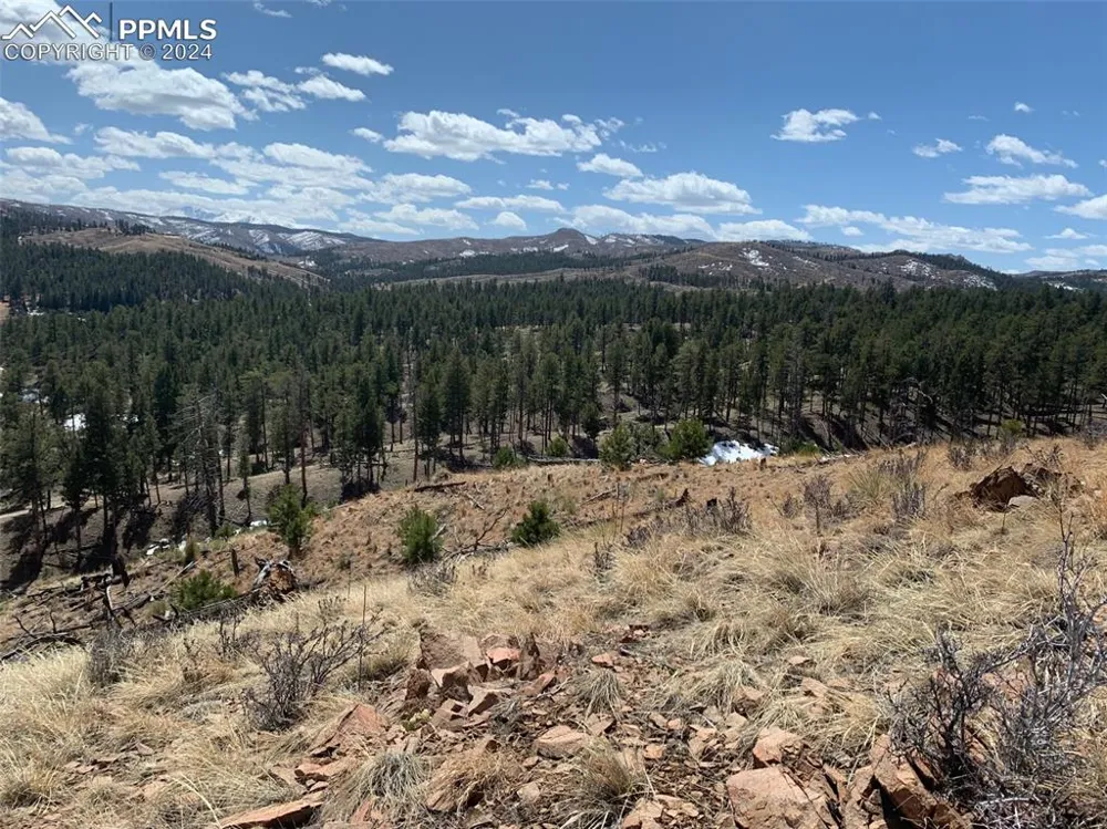 15421 Westcreek Road Woodland Park, CO 80863