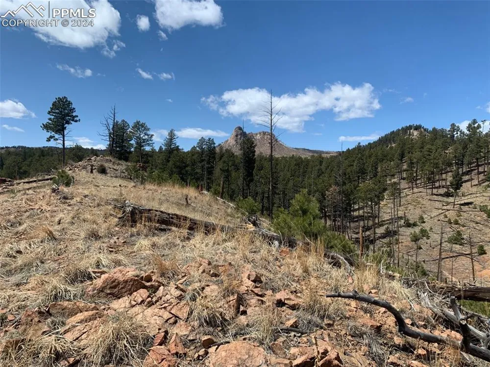 15421 Westcreek Road Woodland Park, CO 80863