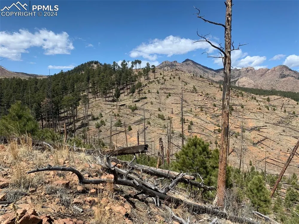 15421 Westcreek Road Woodland Park, CO 80863
