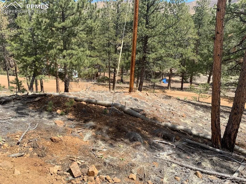 15421 Westcreek Road Woodland Park, CO 80863