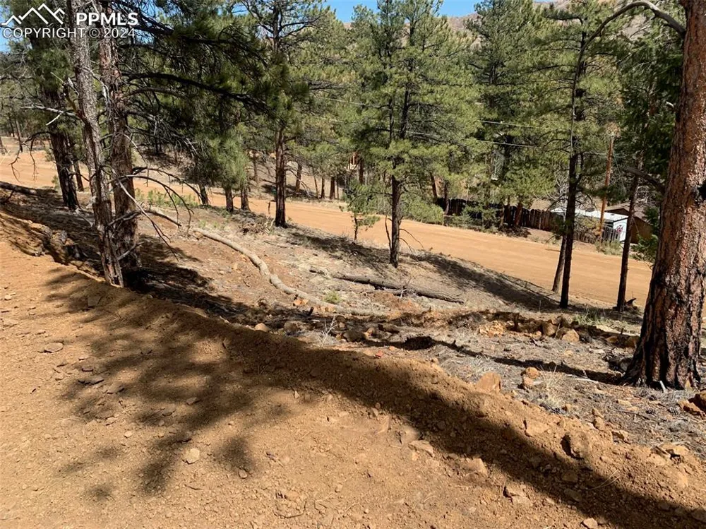 15421 Westcreek Road Woodland Park, CO 80863