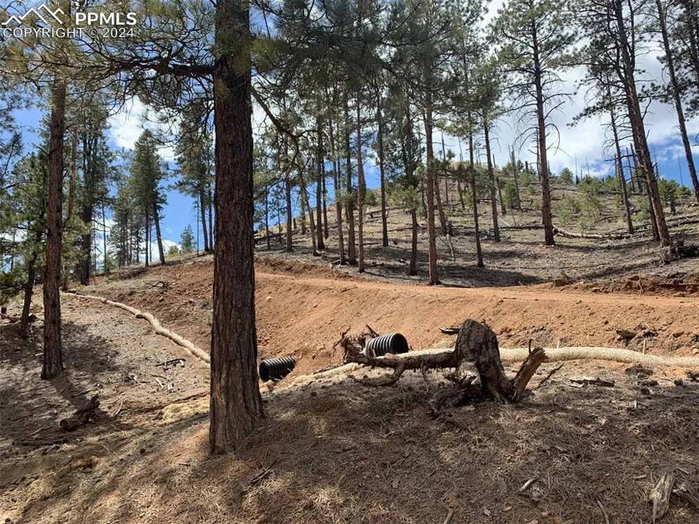 15421 Westcreek Road Woodland Park, CO 80863