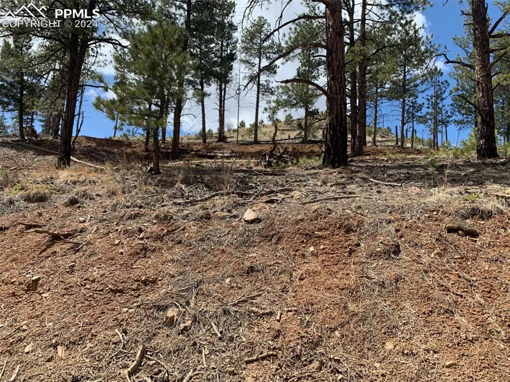 15421 Westcreek Road Woodland Park, CO 80863