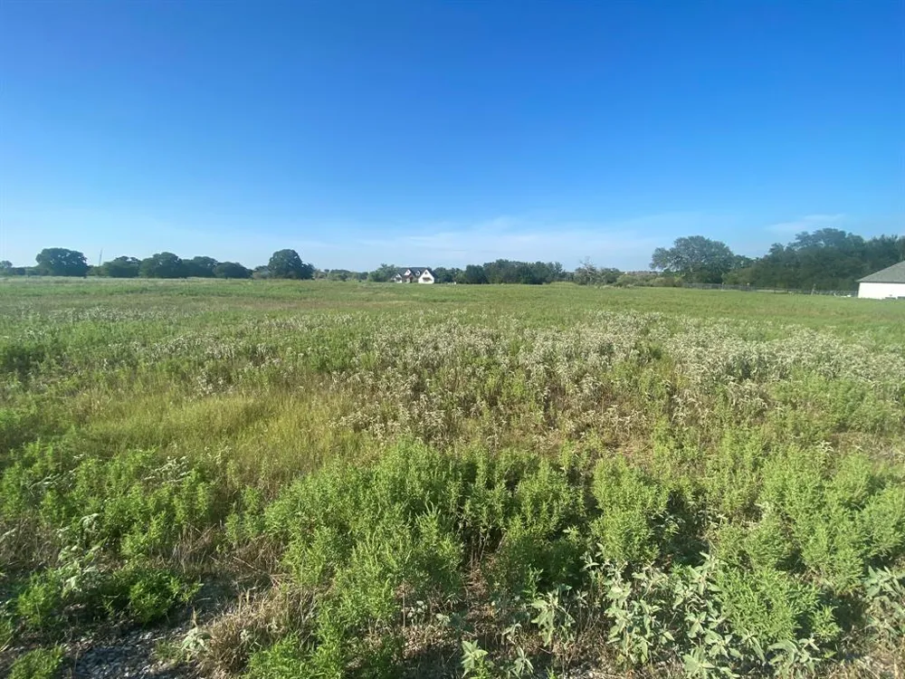 128 Heritage Springs Drive Brock, TX 76087