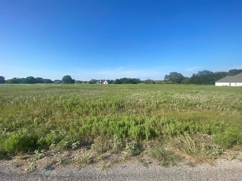 128 Heritage Springs Drive Brock, TX 76087