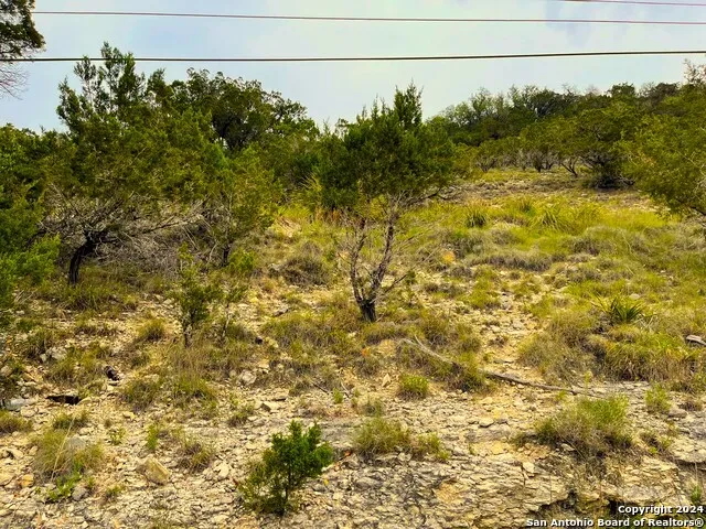 LOTS 1-3,5-20 GEORGES RD Lakehills, TX 78063