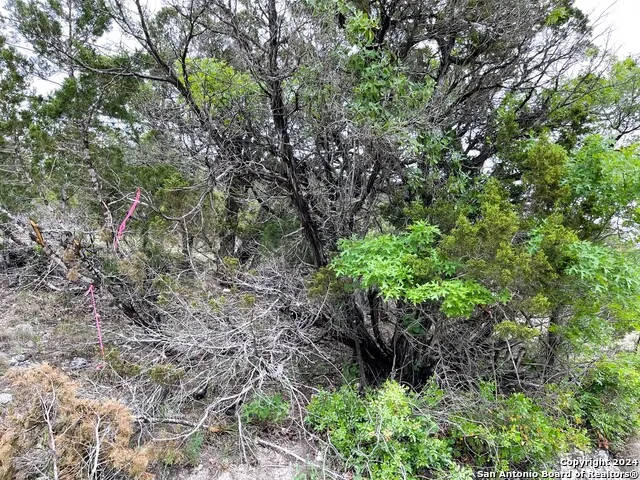 LOTS 1-3,5-20 GEORGES RD Lakehills, TX 78063