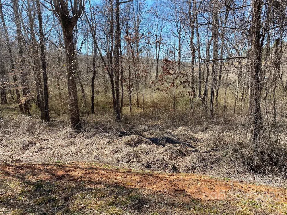 000 Bridge Lane #43 Tryon, NC 28782