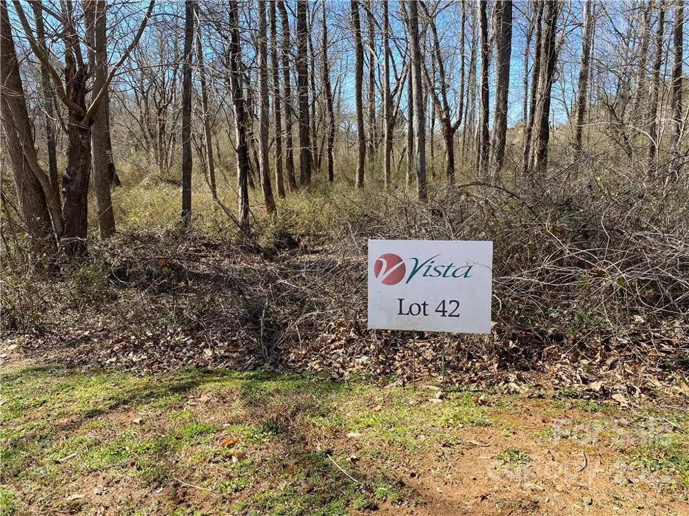 000 Bridge Lane #42 Tryon, NC 28782