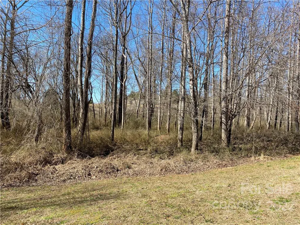 000 Bridge Lane #42 Tryon, NC 28782