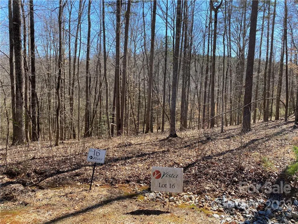 000 Rambling Creek Road #16 Tryon, NC 28782