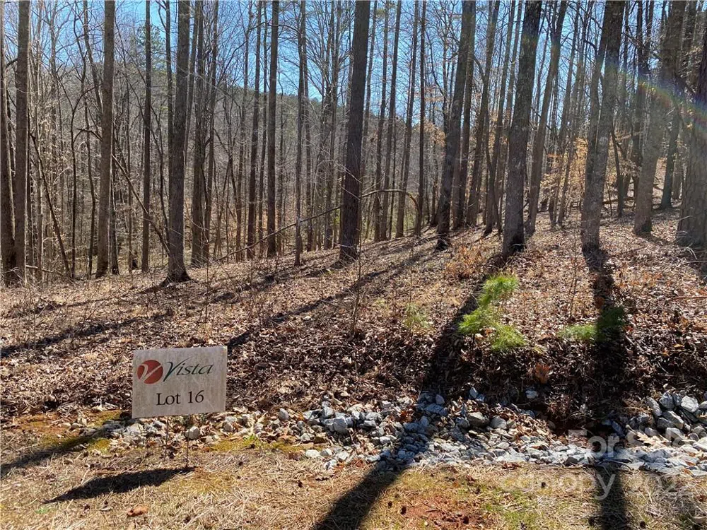 000 Rambling Creek Road #16 Tryon, NC 28782