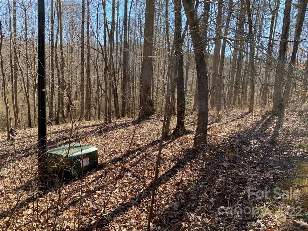 000 Rambling Creek Road #16 Tryon, NC 28782