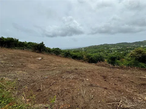 COMUNIDAD VILLA BORINQUÉN