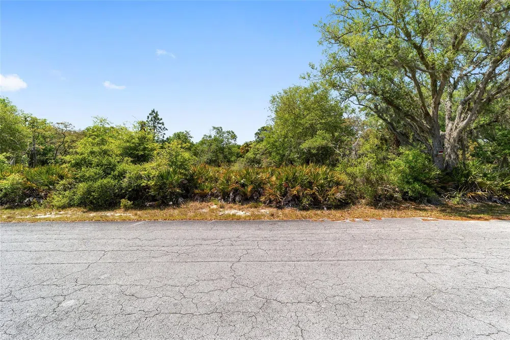 12577 W ROSEMARY PLACE Crystal River, FL 34428