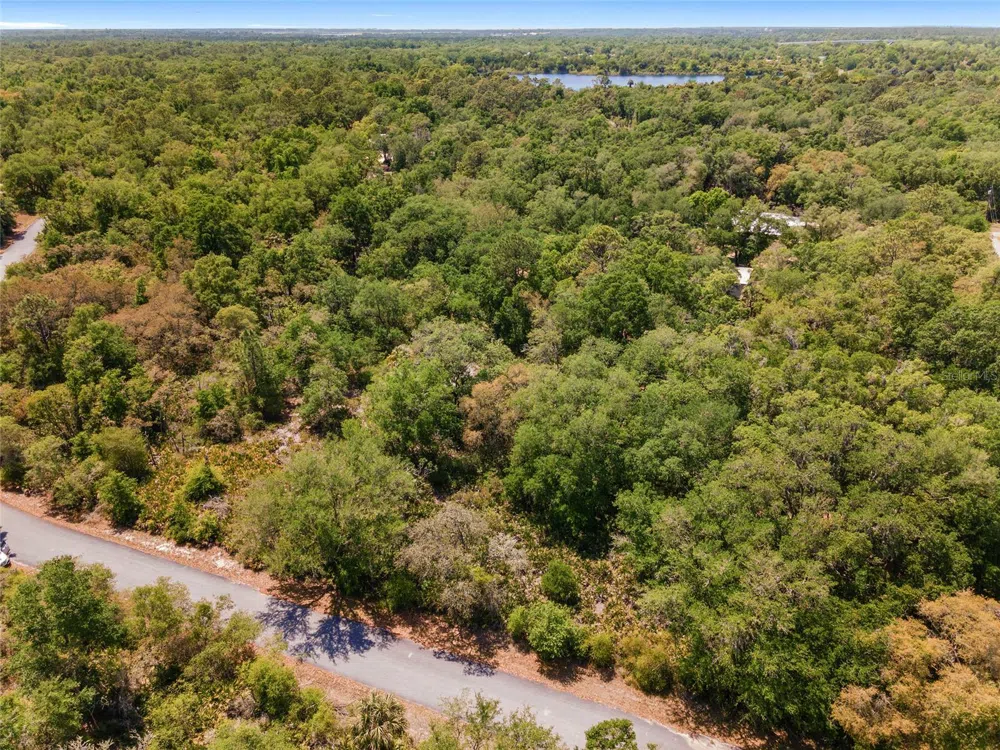 12577 W ROSEMARY PLACE Crystal River, FL 34428