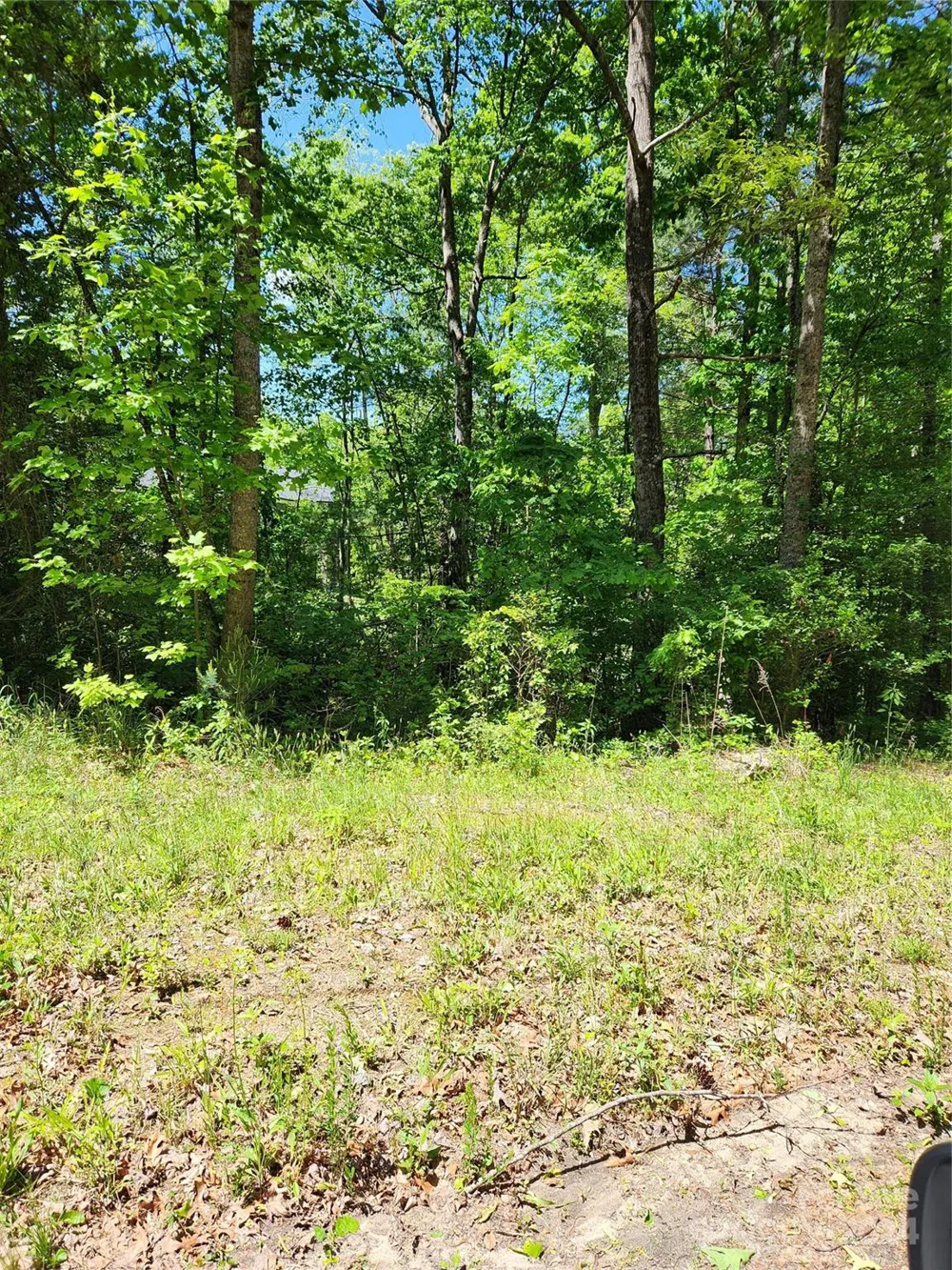 9 Tadpole Lane Taylorsville, NC 28681