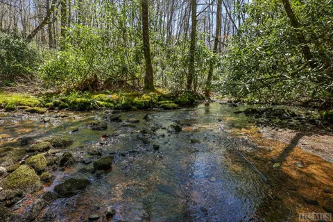 Lot 34 Streamside Lane