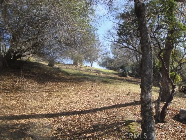 Beckwourth Way Oroville, CA 95966