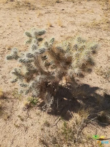 Cove View Twentynine Palms, CA 92277