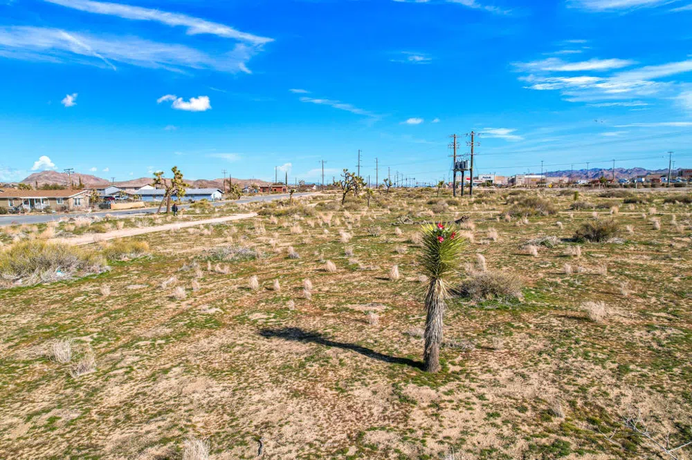 6511 Avalon Avenue Yucca Valley, CA 92284