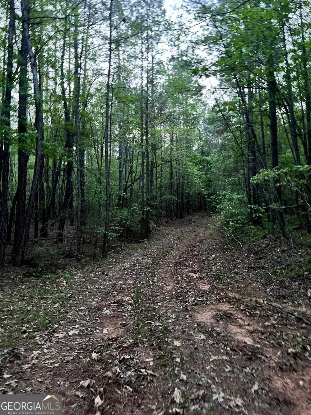 0 J T Elder RD Watkinsville, GA 30677