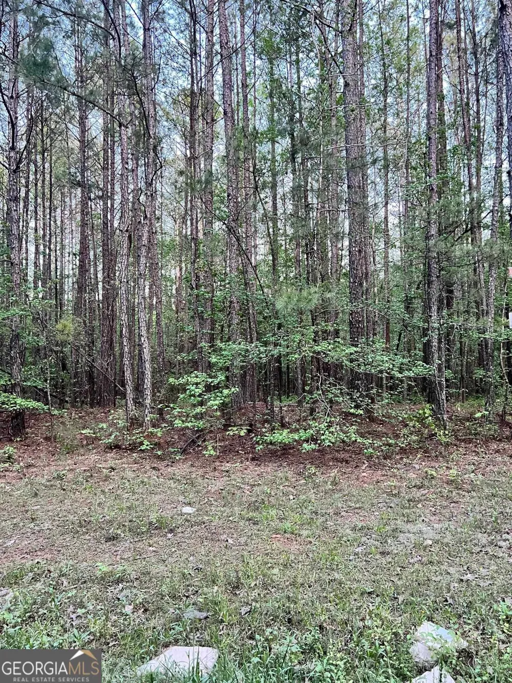 0 J T Elder RD Watkinsville, GA 30677