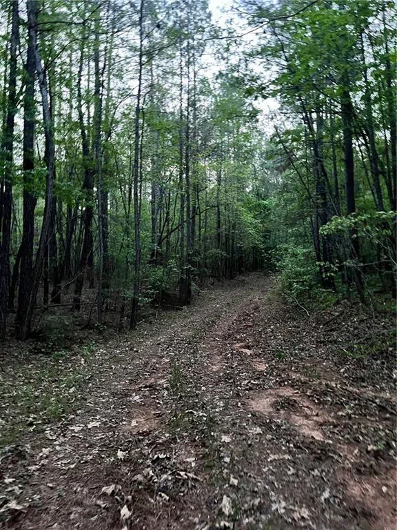 0 J T Elder Road Watkinsville, GA 30677