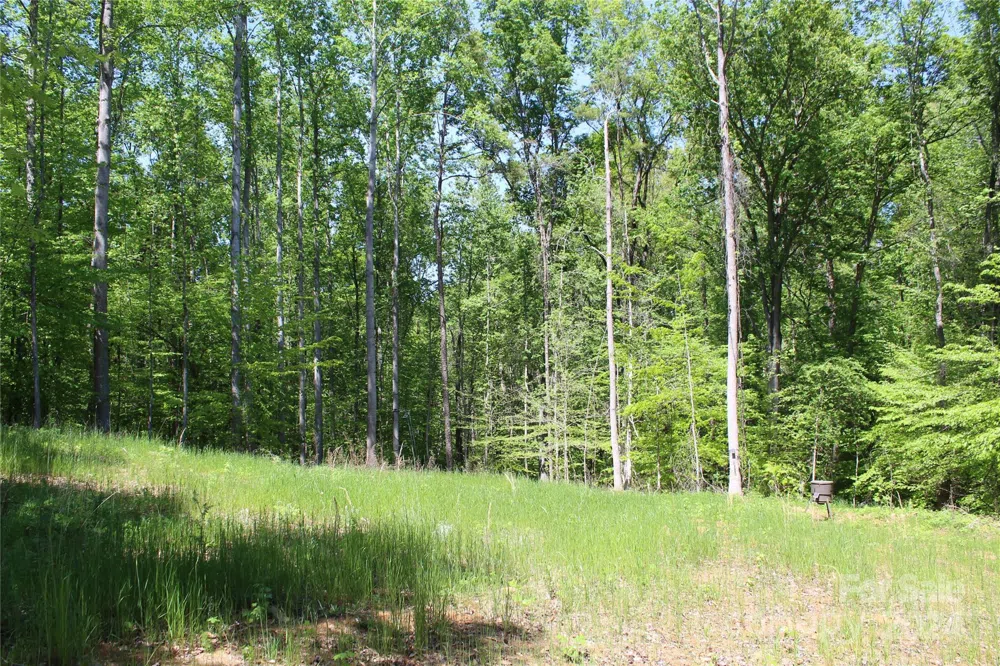 0000 Davis Circle Clover, SC 29710