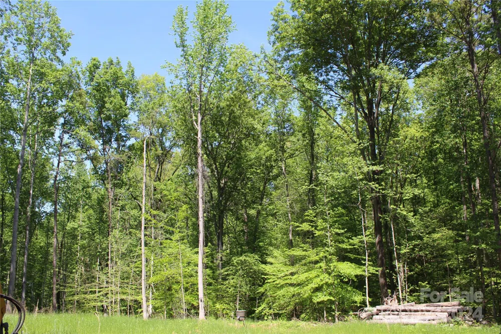 0000 Davis Circle Clover, SC 29710
