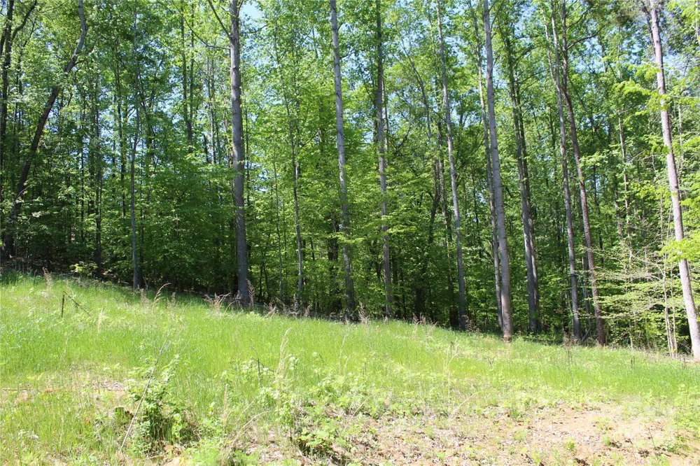 0000 Davis Circle Clover, SC 29710
