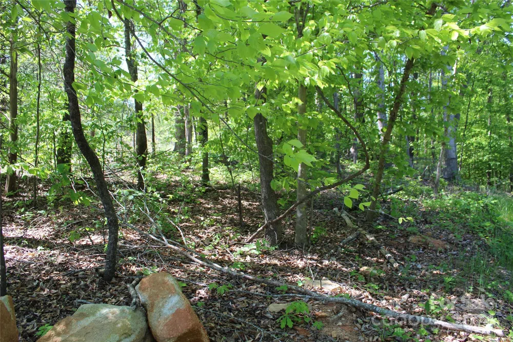 0000 Davis Circle Clover, SC 29710